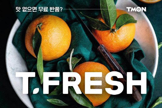 티몬의 자체 신선식품 브랜드 '티프레시' 홍보 이미지. 티몬 제공